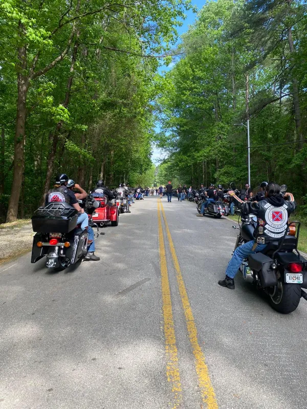 p65_orig_674446fd0c3e5